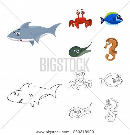 Isolated Object Of Sea And Animal Icon. Collection Of Sea And Marine Stock Vector Illustration.