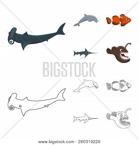 Vector Design Of Sea And Animal Sign. Set Of Sea And Marine Vector Icon For Stock.