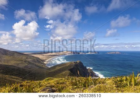 Cape Maria Van Diemen From Cape Reinga, Northland, New Zealand. In Foreground Are The Miniature Flax