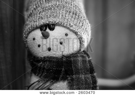 雪だるまヴィンテージの黒と白