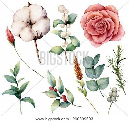Watercolor Autumn Set With Plants, Flowers And Berries. Hand Painted Cotton, Rose, Lagurus, Leaves A