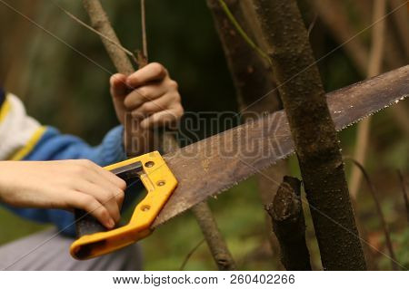 Boys Hands With Saw Sawing Tree Dead Branch Close Up Photo On Garden Background
