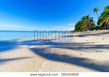 White Sandy Beach On A Small Pacific Island