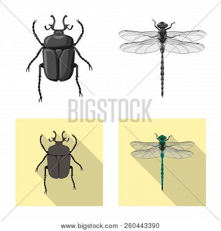 Vector Illustration Of Insect And Fly Icon. Collection Of Insect And Element Vector Icon For Stock.