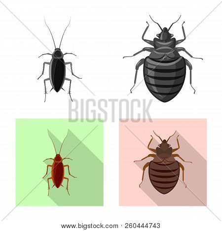 Vector Illustration Of Insect And Fly Symbol. Set Of Insect And Element Vector Icon For Stock.