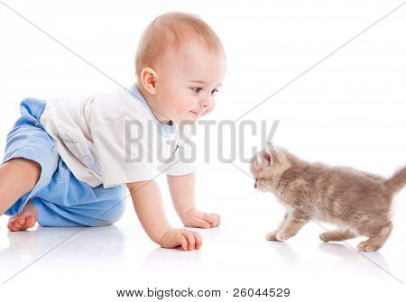 与小猫的婴儿。在白色背景上孤立