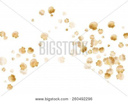 Gold Seashells Vector, Golden Pearl Bivalved Mollusks. Underwater Scallop, Bivalve Pearl Shell, Mari