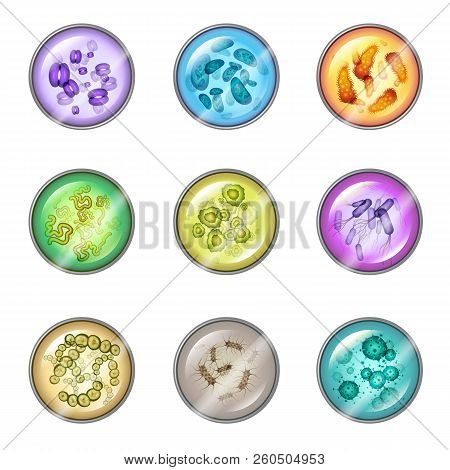 Plates With Bacteria Or Petri Dish With Virus