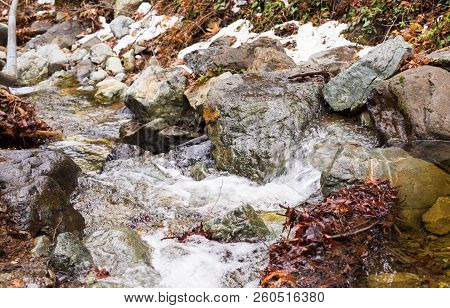Autumn Nature With Rocks And Leaves In Troodos Mountains In Cyprus