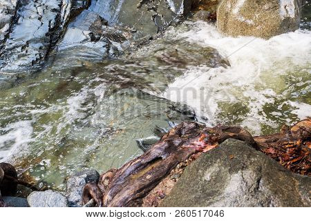 Autumn Waterfall With Rocks And Leaves In Troodos Mountains In Cyprus