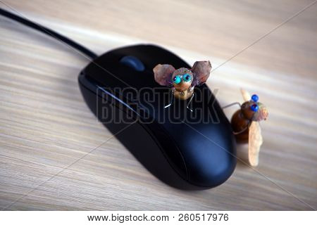 Handmade Bee Acorn Table Computer Mouse Studio