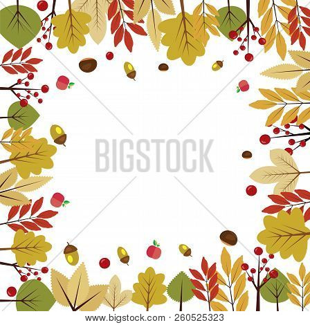 Beautiful Autumnal Background With Different Autumn Leaves