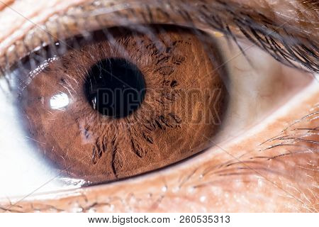 Close Up ,the Eyes Of Asian Women.