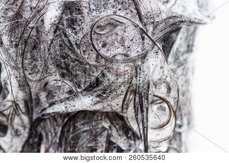 Close Up, Woman Washing Hair With Shampoo.