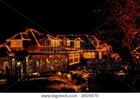 Jule belysning i Butchardt have