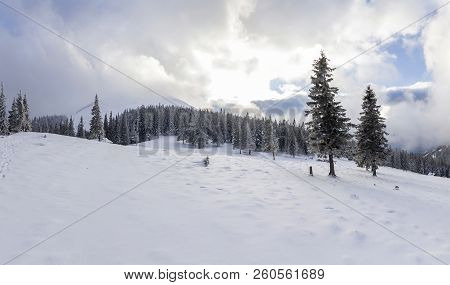 Beautiful Winter Mountain Landscape. Tall Pine Trees Covered With Snow And Frost On Bright Blue Sky 