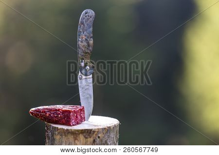 Close-up Of Folding Pocket Knife Stuck Vertically In Tree Stump And Piece Of Sausage Outdoors On Dar