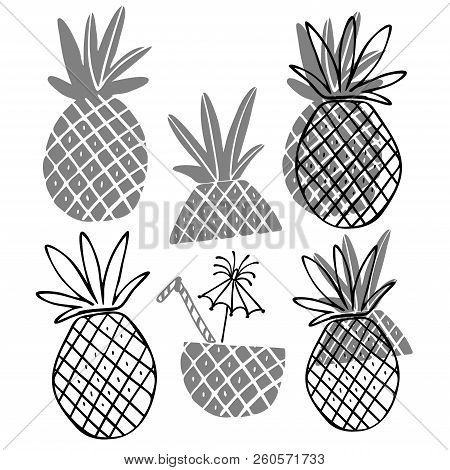 Vector Design With Stylized Image Of Pineapple. In Black And White Style. Can Be Used For Printing O