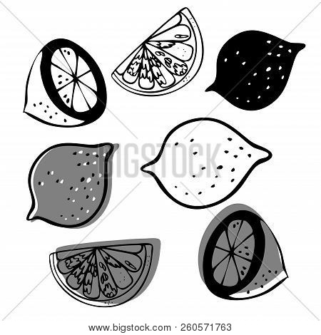 Vector Design With Stylized Image Of Lemon. In Black And White Style. Can Be Used For Printing On Pa