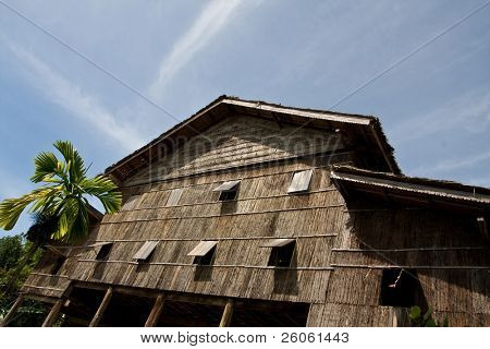  อัยในซาราวัก (bornio)