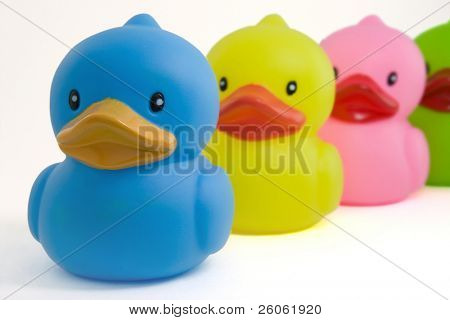 canards en caoutchouc