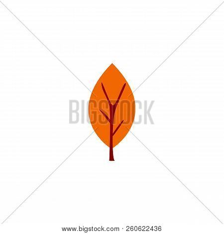 Vector Illustration. Autumn Flat Tree Isolated On White Background.