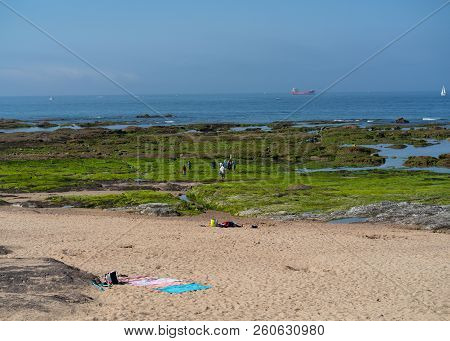 People Seaside Foraging In Rocks In Les Sables D Olonne Vendee France