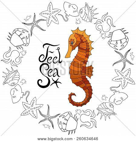 Vector Sea Horse With Marine Elements And Inscription