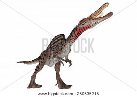 Spinosaurus Set Of Angles On A White Background 3d Illustration