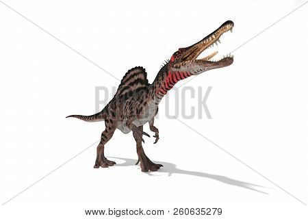 Spinosaurus Set Of Angles On A White Background 3d Illustration