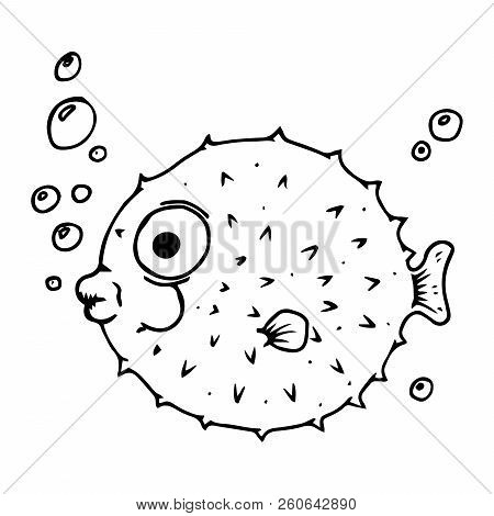 Fish Hedgehog. Vector Of A Cartoon Fish. Funny Fish. Hand Drawn Aquarium Fish.