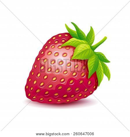 Strawberry Vector Logo. Vector Illustration Of Strawberry With Leaves Isolated On A White.