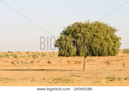 Tourist caravan Thar desert Rajasthan