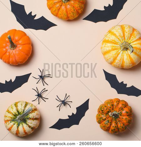 Halloween Background, Different Colorful Pumpkins, Black Bats And Spiders