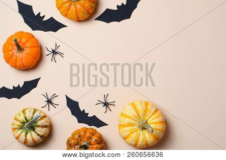 Halloween Background, Different Colorful Pumpkins, Black Bats And Spiders