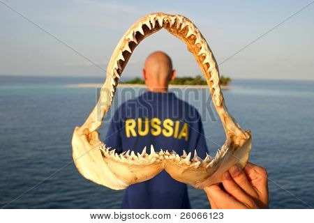 Bald headed subacqueo dalla Russia nella mascella dello squalo
