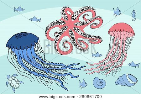 Two Jellyfish, Octopus And Sea Beasts Marine Life