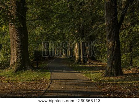 Summer Morning Path Near Velke Losiny Castle Garden