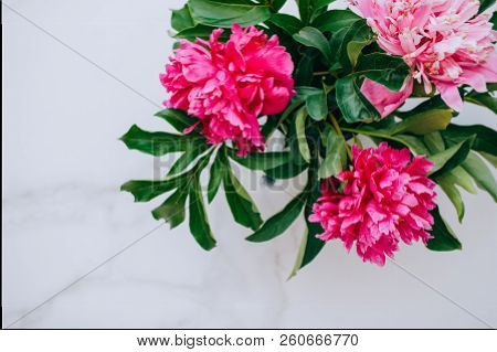 Flowers. Pink Peony On The Merble Table