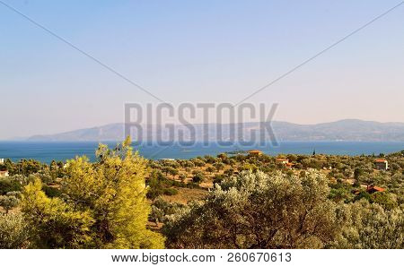 Landscape Of Eretria Euboea Greece - Scenery From Above