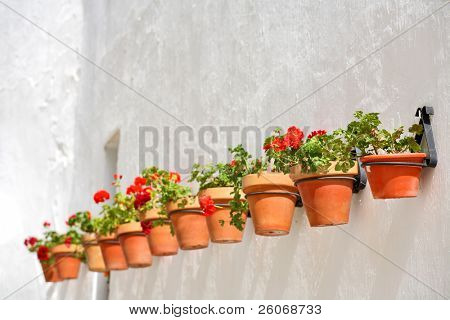 A fehér falon virágtartók sor