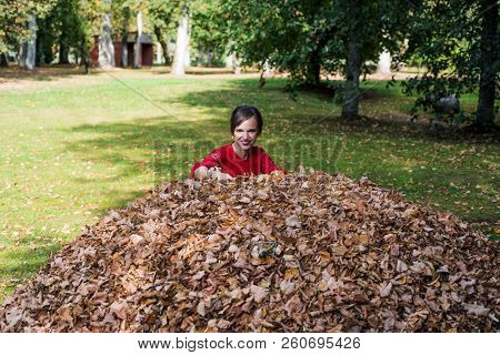 Young Woman In Red Dress. Toss The Autumn Leaves Upward.