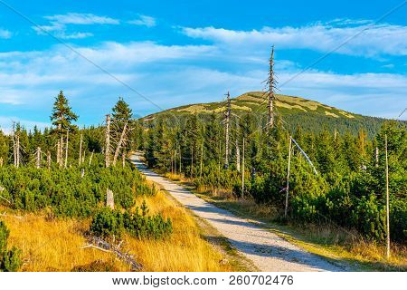 Tourist Road In The Middle Of Mountain Landscape, Giant Mountains, Krkonose, Czech Republic