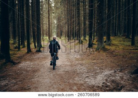 Back View Of Unrecognizable Man Riding Moutain Bike Along Deserted Path In Forest. Rear Shot Of Male