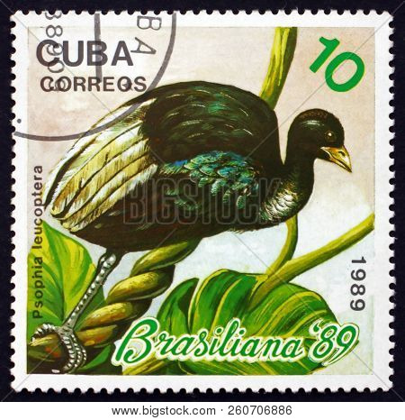 Cuba - Circa 1989: A Stamp Printed In Cuba Shows Pale-winged Trumpeter, Psophia Leucoptera, Exotic B