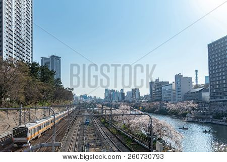 Cherry Blossom Around Sotobori Park, Tokyo, Japan.
Sotobori Park Is Famous Cherry Blossoms Spot That