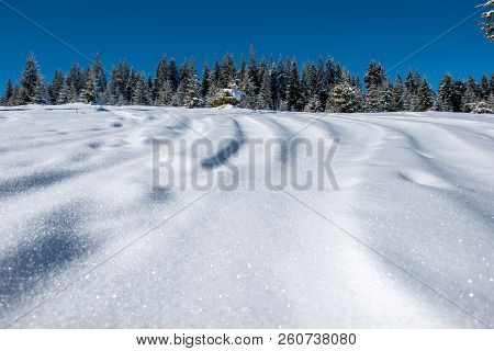 Ski Tracks In Powder Snow