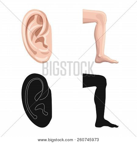 Vector Illustration Of Human And Part Logo. Collection Of Human And Woman Stock Symbol For Web.