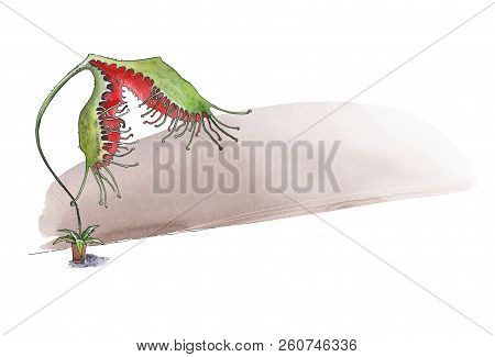 Giant Carnivorous Drosera Rotundifolia In The Home. Humorous Illustration. Watercolor. Isolated On W