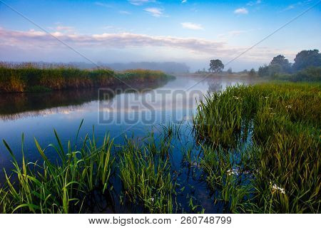 Morning Landscape, River Curve Surrounded By Sedge And Vegetation